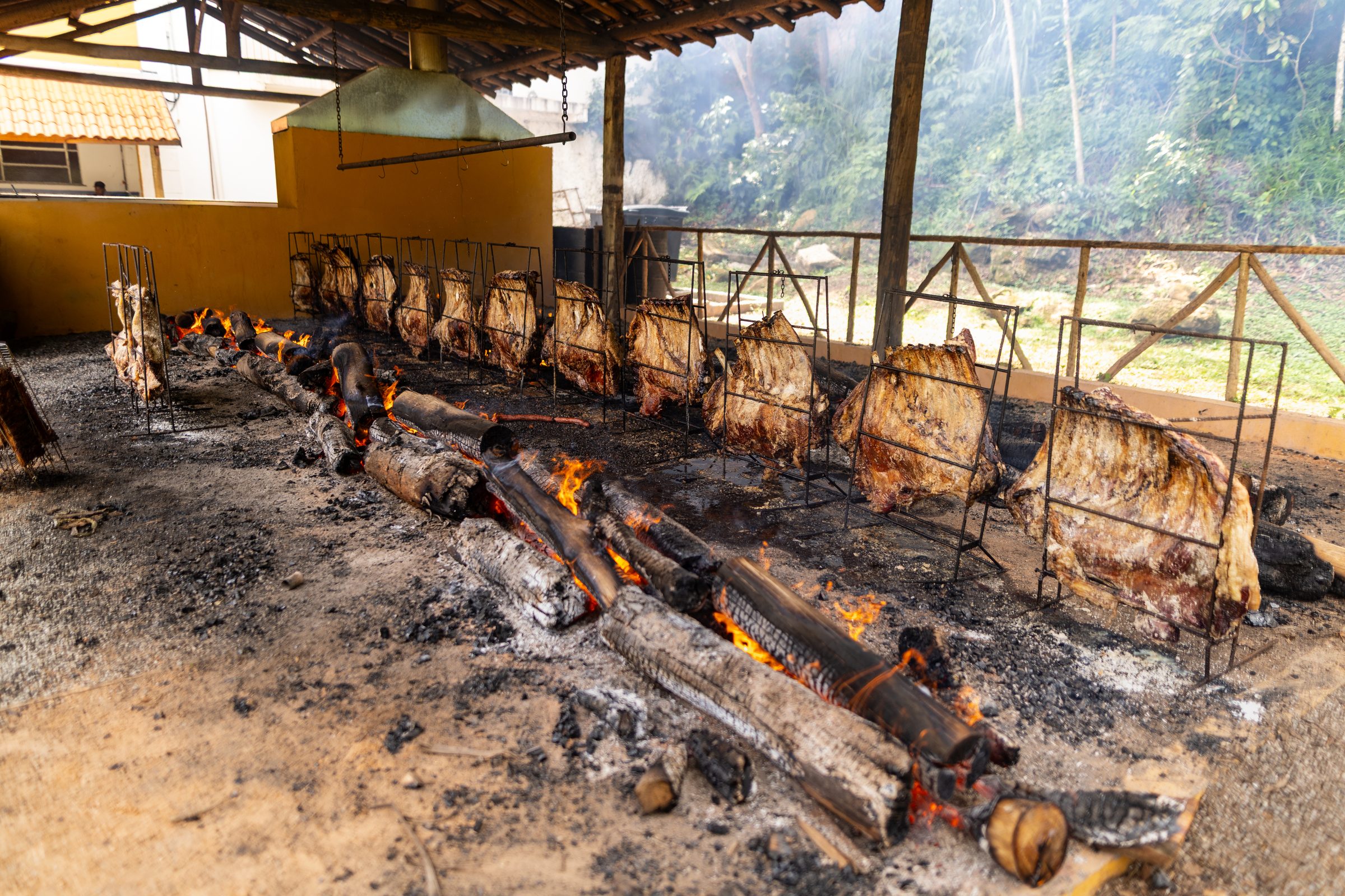 Fileira de costelas espetadas em grelhas de ferro assando ao redor de troncos em brasa, sob o galpão amarelo do Instituto da Costela